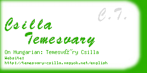 csilla temesvary business card